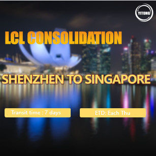 Trusted LCL International Shipping Provider Offering Customs Clearance and Maritime Transportation Services for Global Business Partners