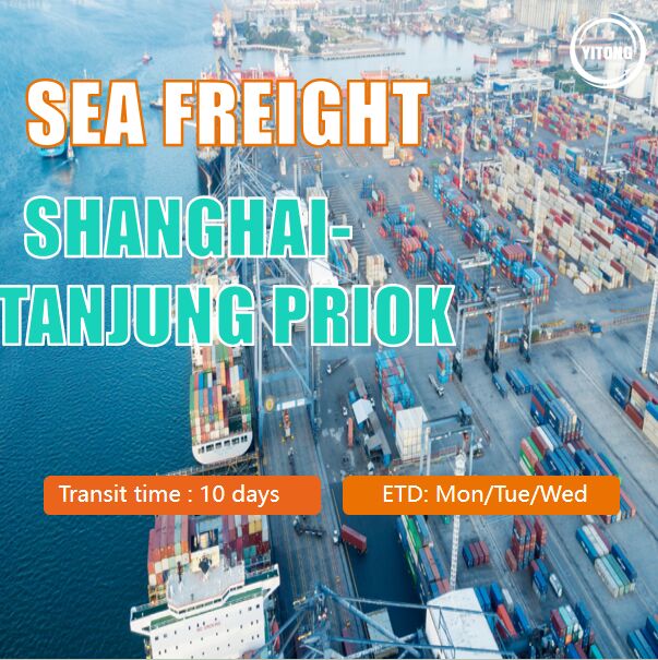Comprehensive Sea Freight Logistics services offering scheduled shipments from Shenzhen Shanghai and other key ports to Malaysia and beyond